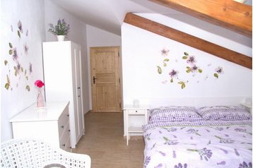 Viesu māja Mělník 9